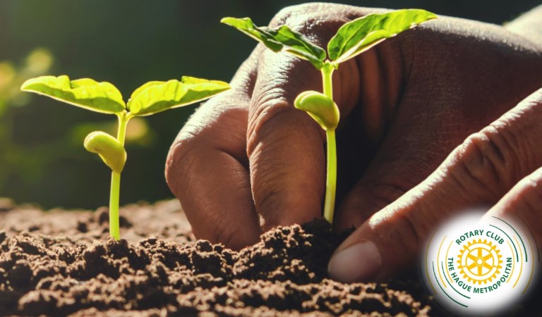 Generation Healthwise