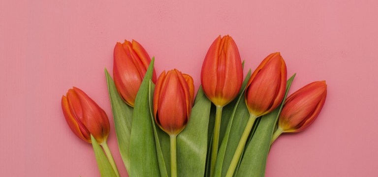 International Women’s Day Luncheon